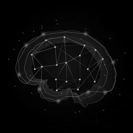 brain